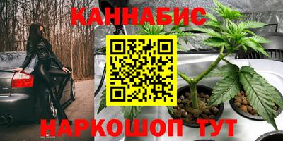 apvp Севастополь
