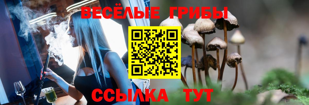 Псилоцибиновые грибы GOLDEN TEACHER  Вход с VPN  Отрадный 