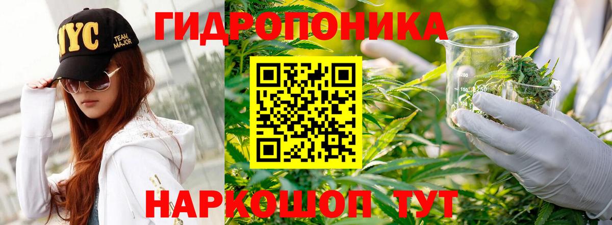 Марихуана план  Марихуана SATIVA & INDICA  Вход с VPN  Отрадный 